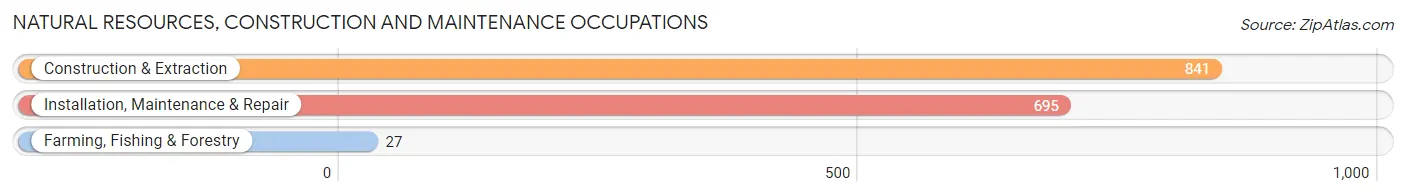 Natural Resources, Construction and Maintenance Occupations in Zip Code 74017