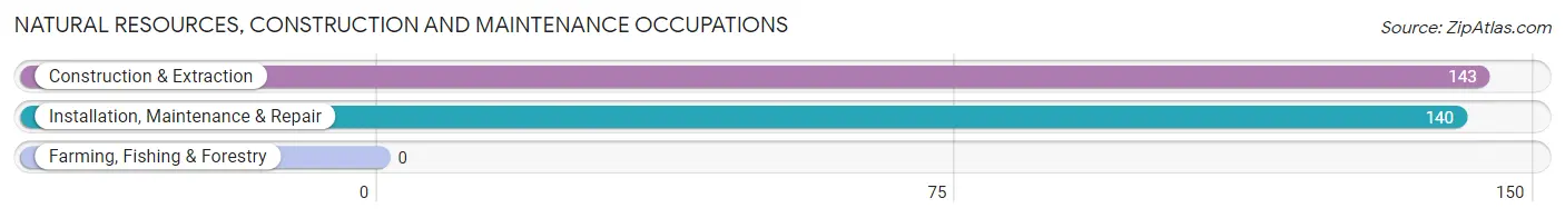 Natural Resources, Construction and Maintenance Occupations in Zip Code 74132