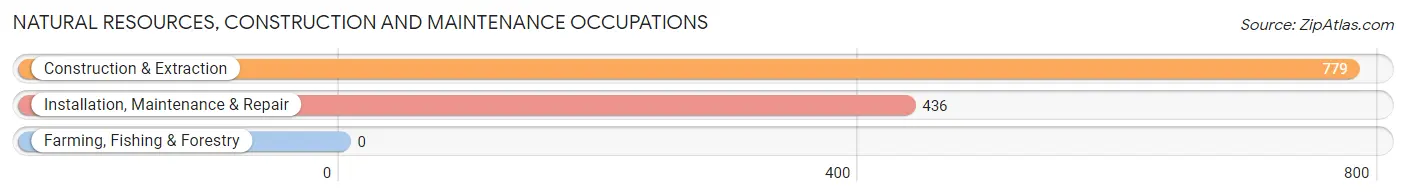 Natural Resources, Construction and Maintenance Occupations in Zip Code 74134