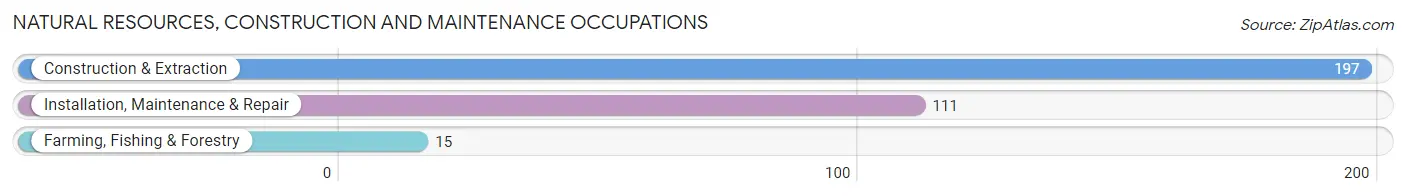 Natural Resources, Construction and Maintenance Occupations in Zip Code 74338