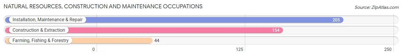 Natural Resources, Construction and Maintenance Occupations in Zip Code 74437