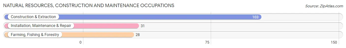 Natural Resources, Construction and Maintenance Occupations in Zip Code 74469