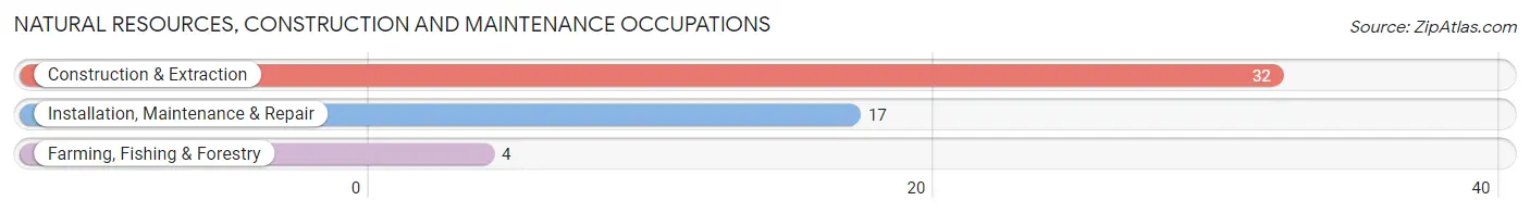 Natural Resources, Construction and Maintenance Occupations in Zip Code 74470