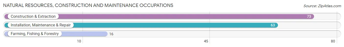 Natural Resources, Construction and Maintenance Occupations in Zip Code 74647