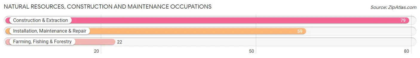 Natural Resources, Construction and Maintenance Occupations in Zip Code 74872