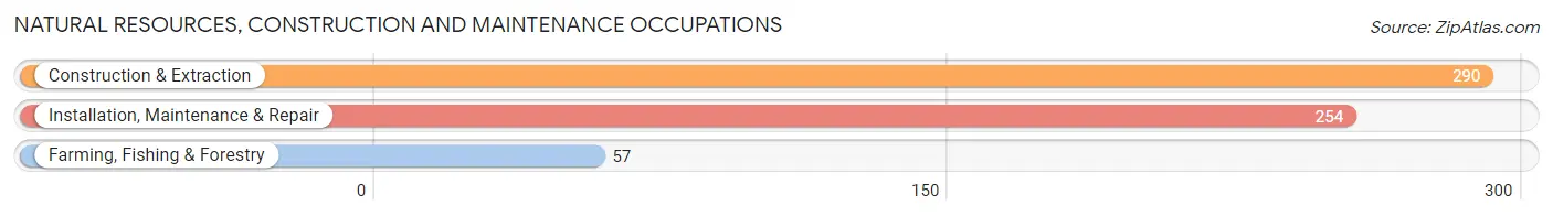 Natural Resources, Construction and Maintenance Occupations in Zip Code 74955