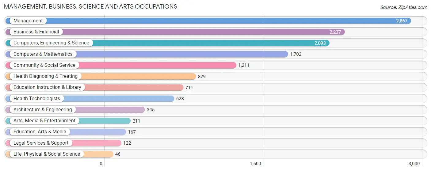 Management, Business, Science and Arts Occupations in Zip Code 75036