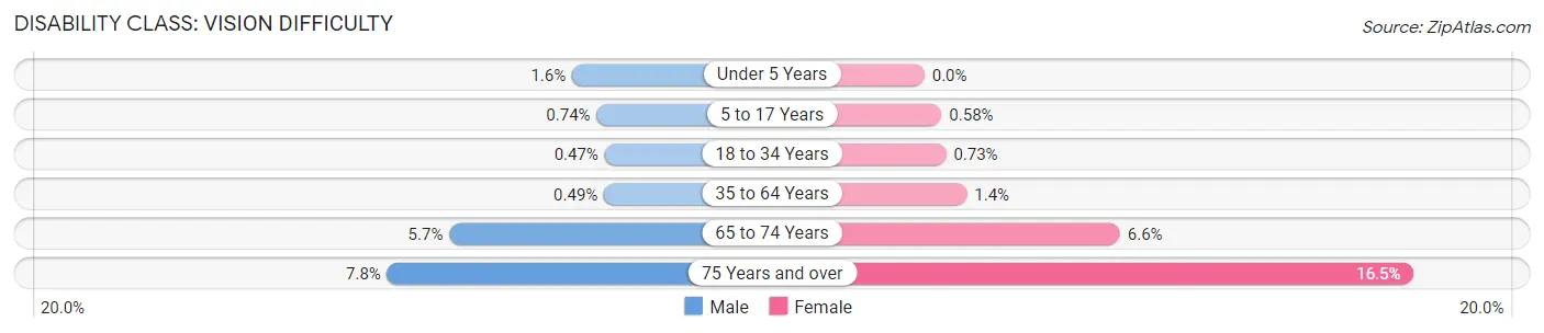 Disability in Zip Code 75040: <span>Vision Difficulty</span>