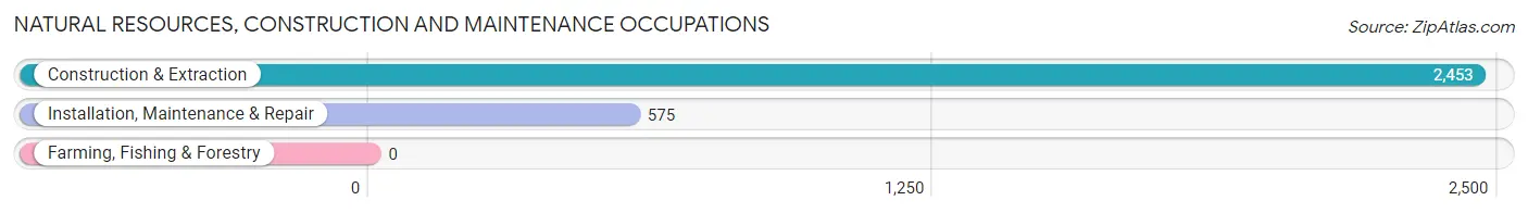 Natural Resources, Construction and Maintenance Occupations in Zip Code 75062