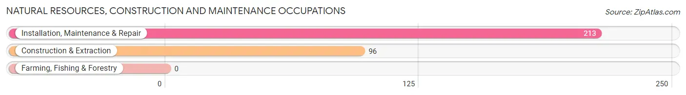 Natural Resources, Construction and Maintenance Occupations in Zip Code 75082