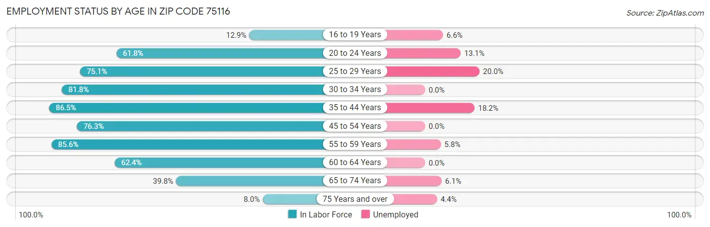 Employment Status by Age in Zip Code 75116
