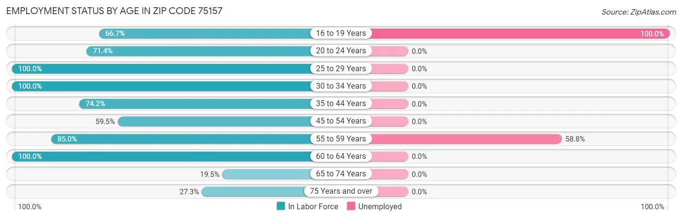 Employment Status by Age in Zip Code 75157