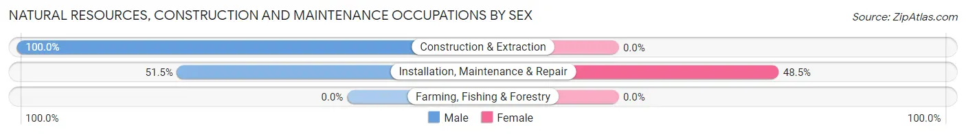Natural Resources, Construction and Maintenance Occupations by Sex in Zip Code 75182