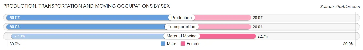 Production, Transportation and Moving Occupations by Sex in Zip Code 75204