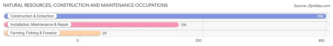 Natural Resources, Construction and Maintenance Occupations in Zip Code 75206