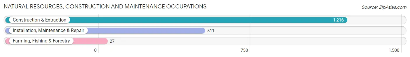 Natural Resources, Construction and Maintenance Occupations in Zip Code 75234