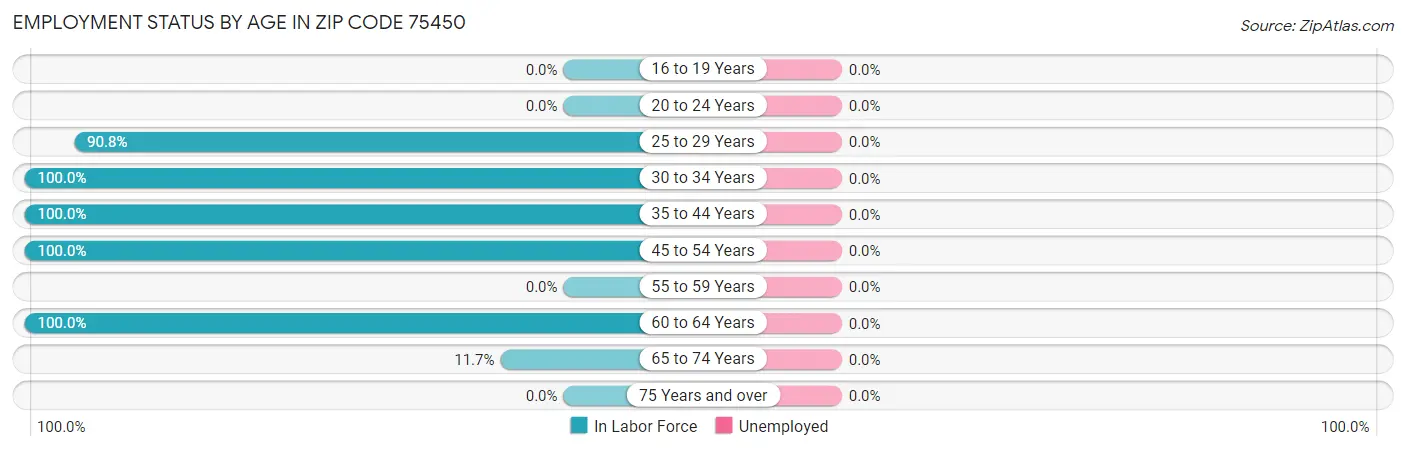 Employment Status by Age in Zip Code 75450
