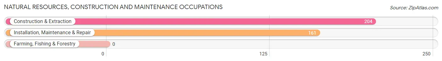 Natural Resources, Construction and Maintenance Occupations in Zip Code 75497