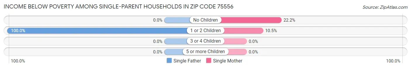 Income Below Poverty Among Single-Parent Households in Zip Code 75556