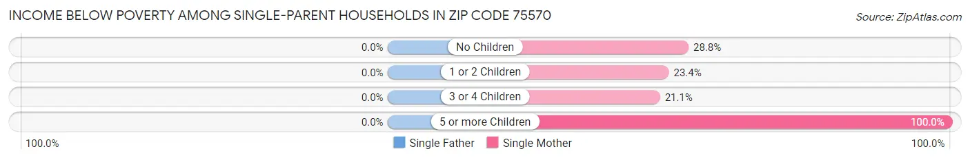 Income Below Poverty Among Single-Parent Households in Zip Code 75570