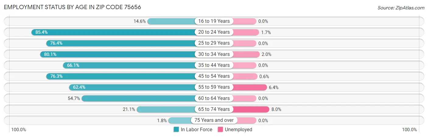 Employment Status by Age in Zip Code 75656