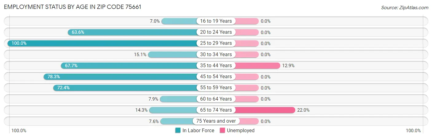 Employment Status by Age in Zip Code 75661