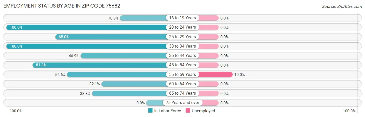 Employment Status by Age in Zip Code 75682