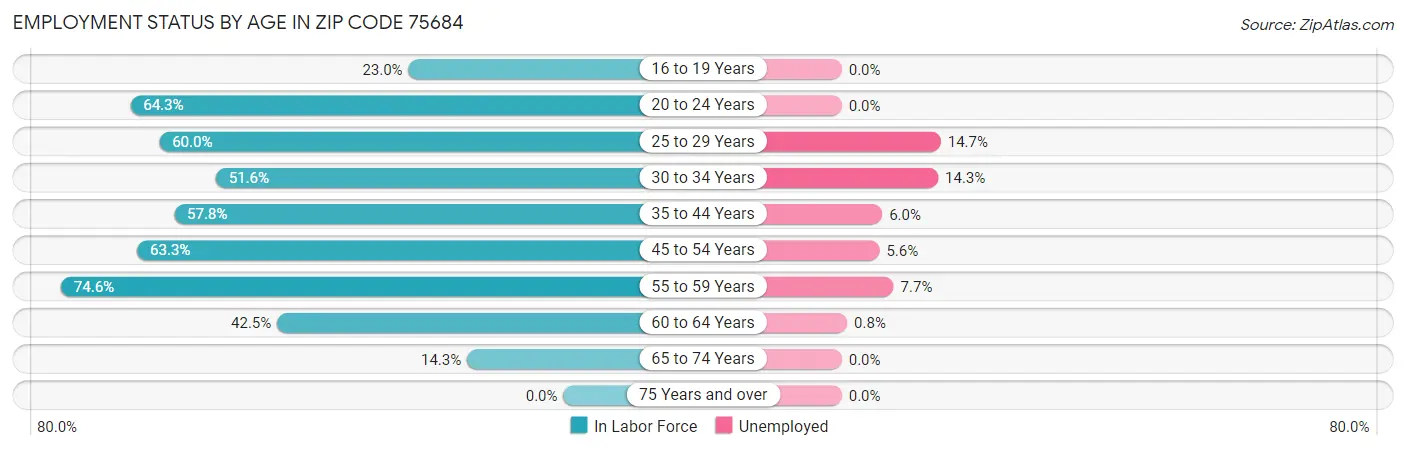Employment Status by Age in Zip Code 75684