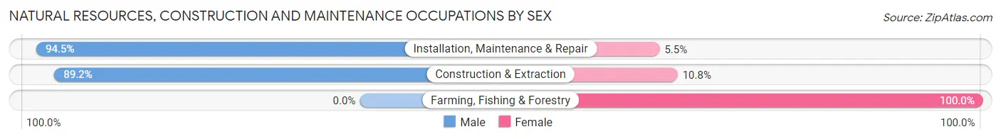 Natural Resources, Construction and Maintenance Occupations by Sex in Zip Code 75703