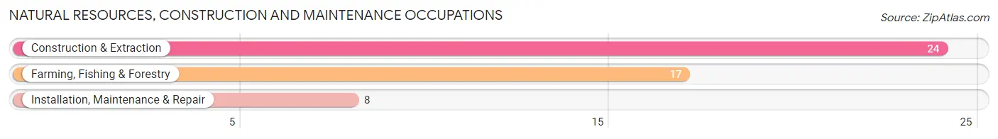 Natural Resources, Construction and Maintenance Occupations in Zip Code 75784