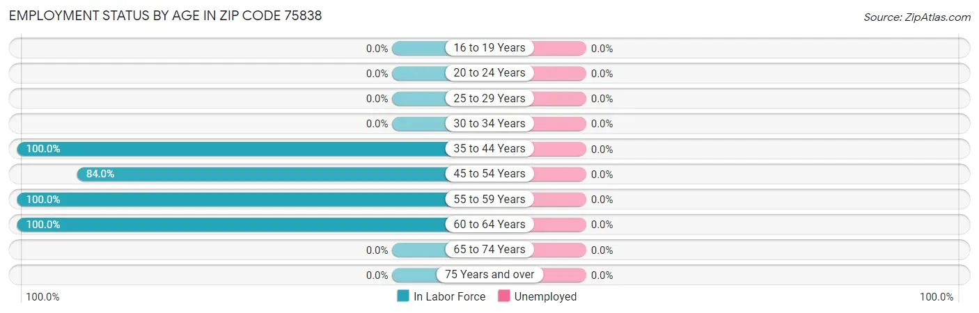 Employment Status by Age in Zip Code 75838