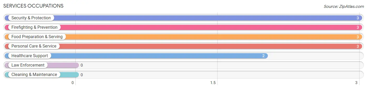 Services Occupations in Zip Code 75848