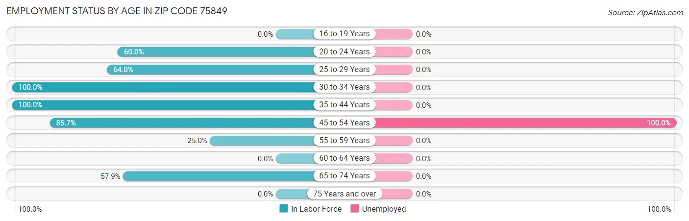 Employment Status by Age in Zip Code 75849