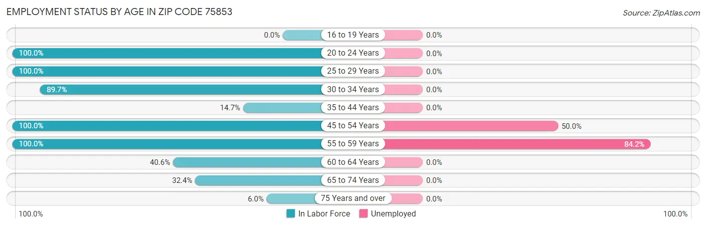 Employment Status by Age in Zip Code 75853