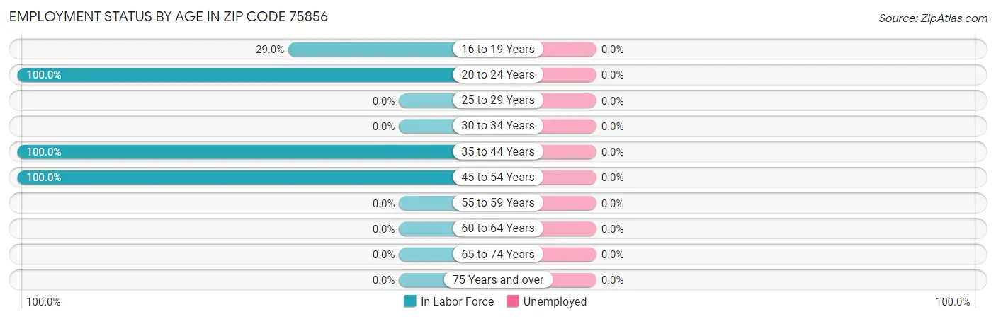 Employment Status by Age in Zip Code 75856