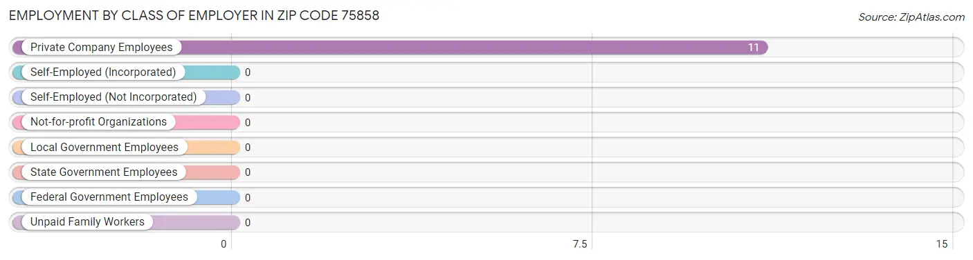 Employment by Class of Employer in Zip Code 75858