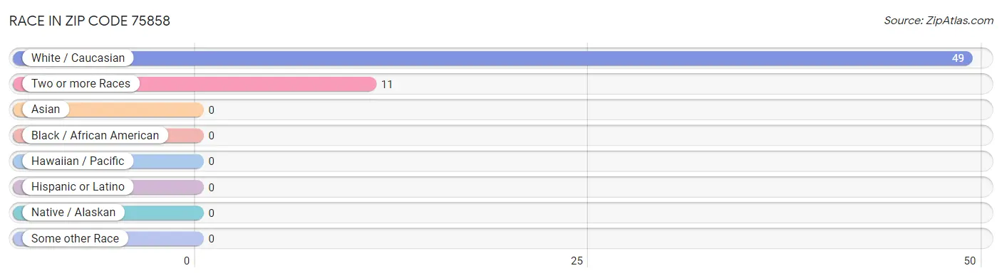 Race in Zip Code 75858