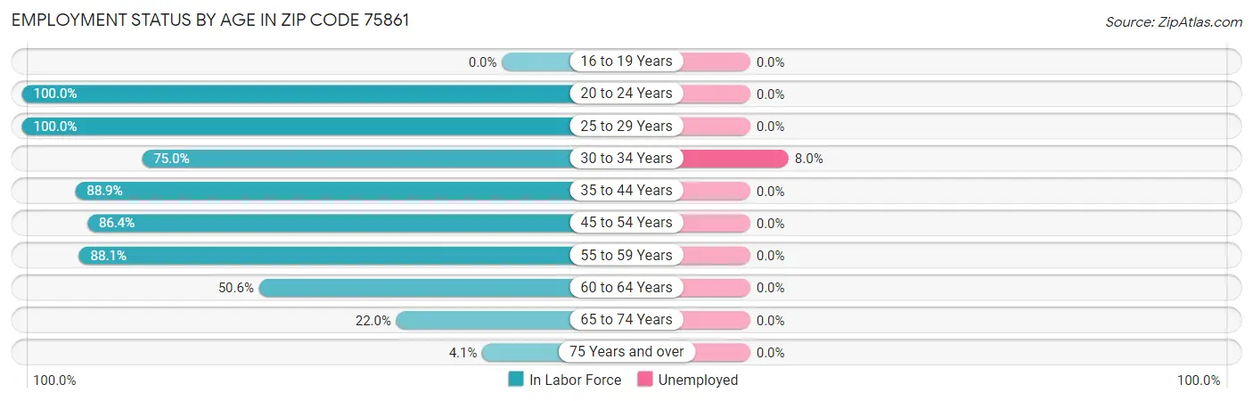 Employment Status by Age in Zip Code 75861