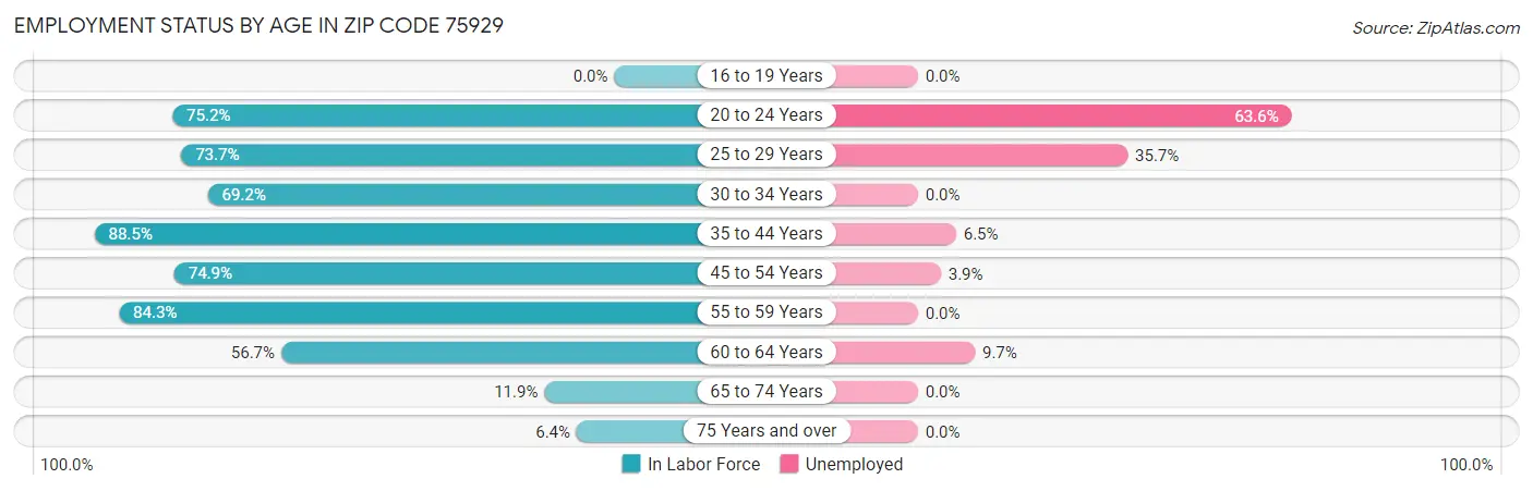 Employment Status by Age in Zip Code 75929