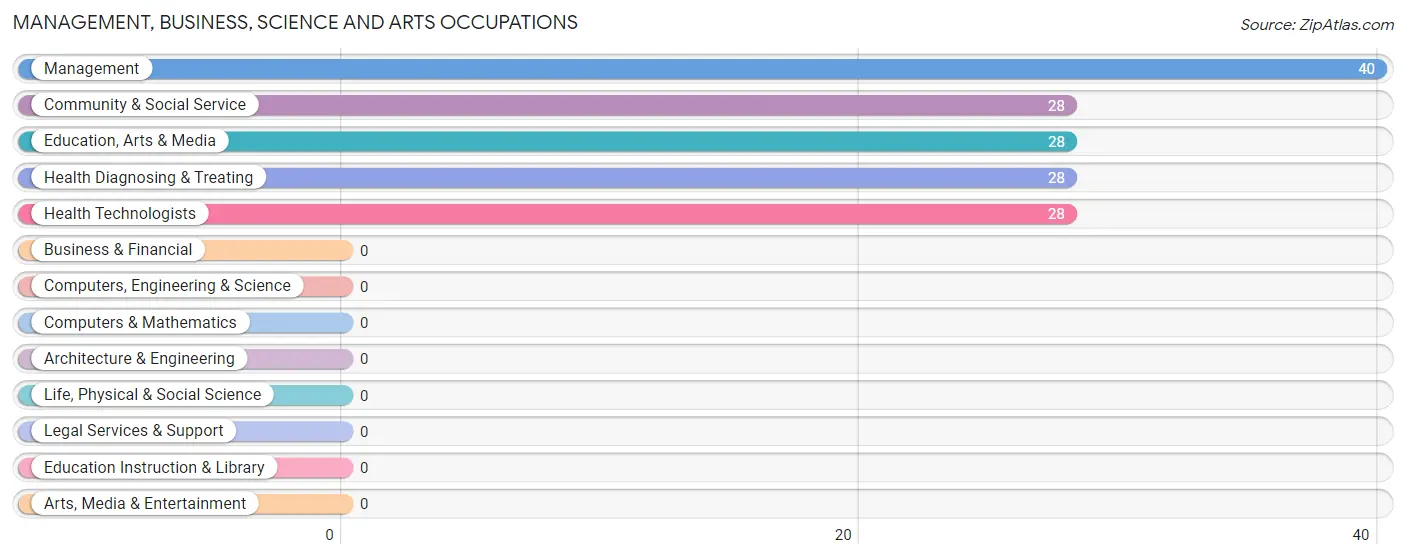 Management, Business, Science and Arts Occupations in Zip Code 75933