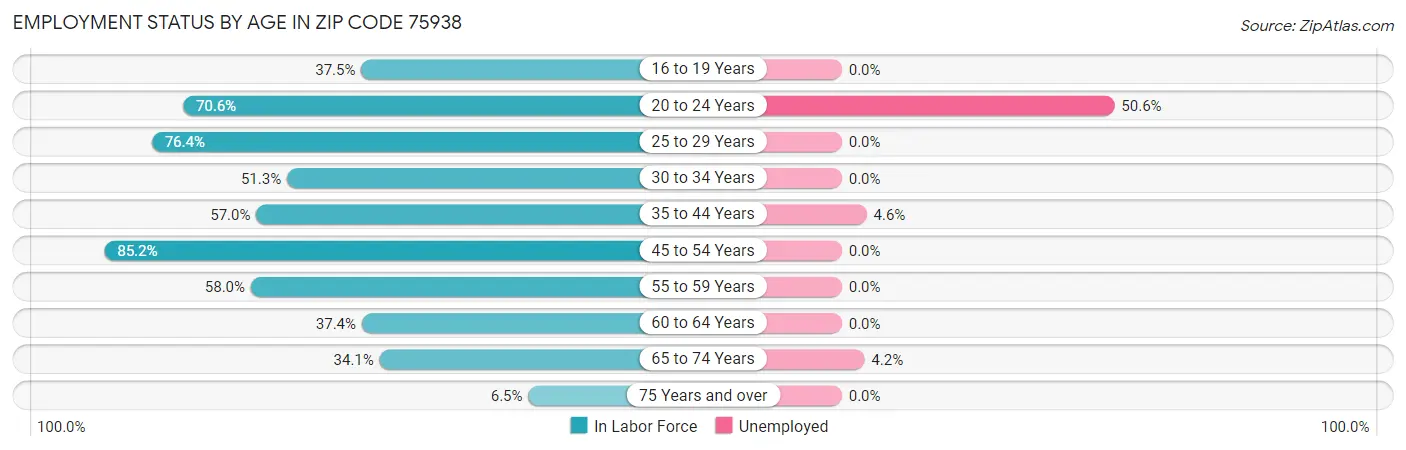 Employment Status by Age in Zip Code 75938