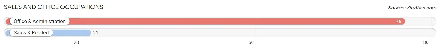 Sales and Office Occupations in Zip Code 75943