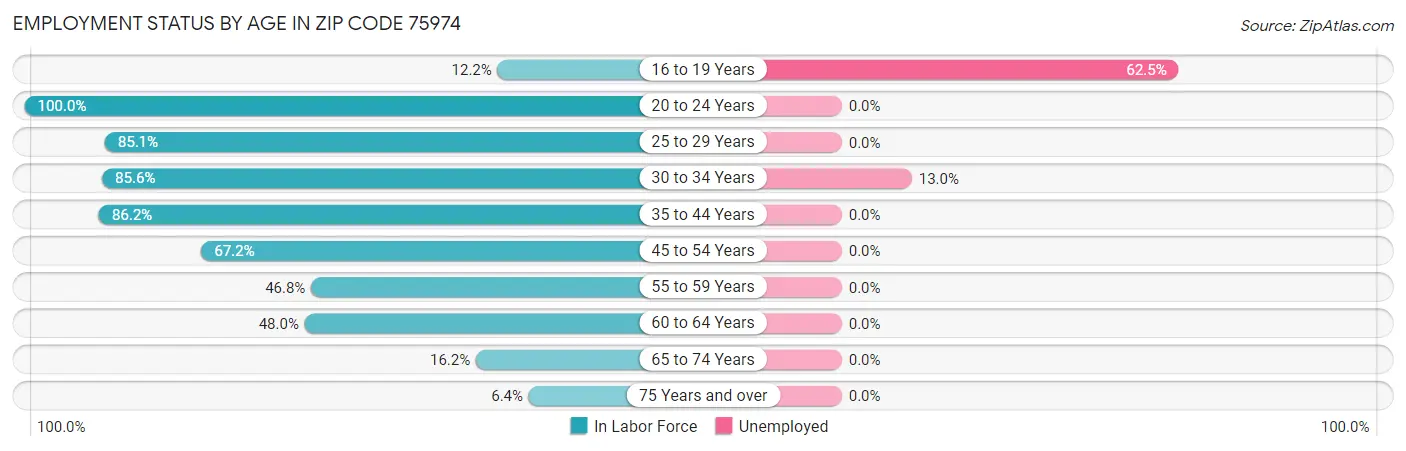 Employment Status by Age in Zip Code 75974