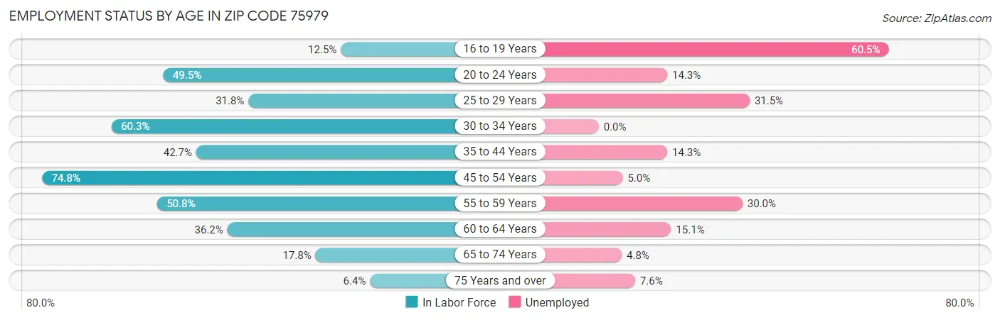 Employment Status by Age in Zip Code 75979
