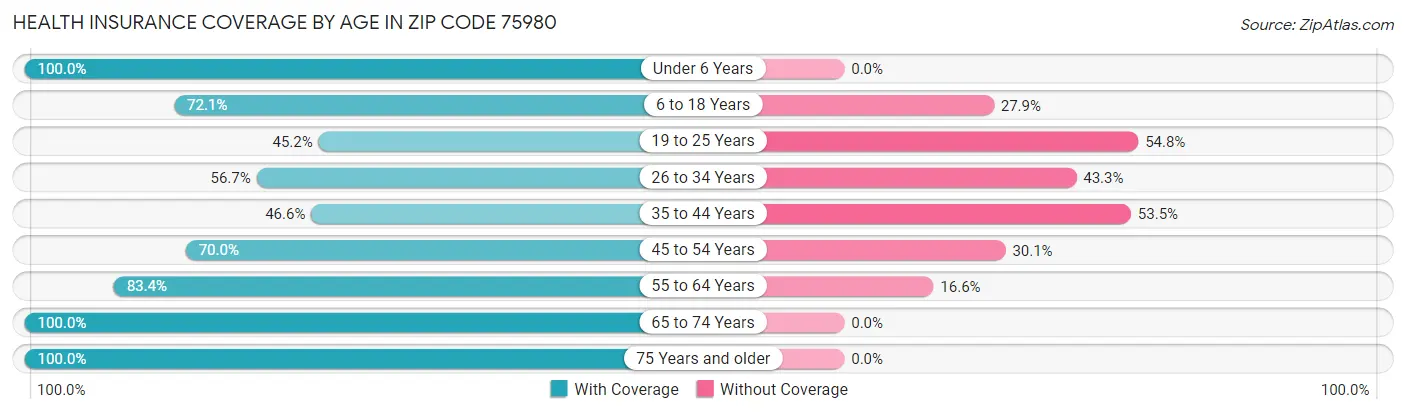 Health Insurance Coverage by Age in Zip Code 75980