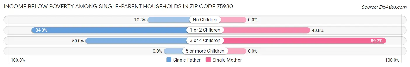 Income Below Poverty Among Single-Parent Households in Zip Code 75980