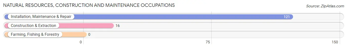 Natural Resources, Construction and Maintenance Occupations in Zip Code 76035