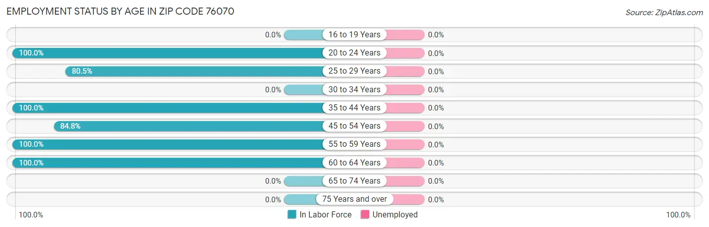 Employment Status by Age in Zip Code 76070
