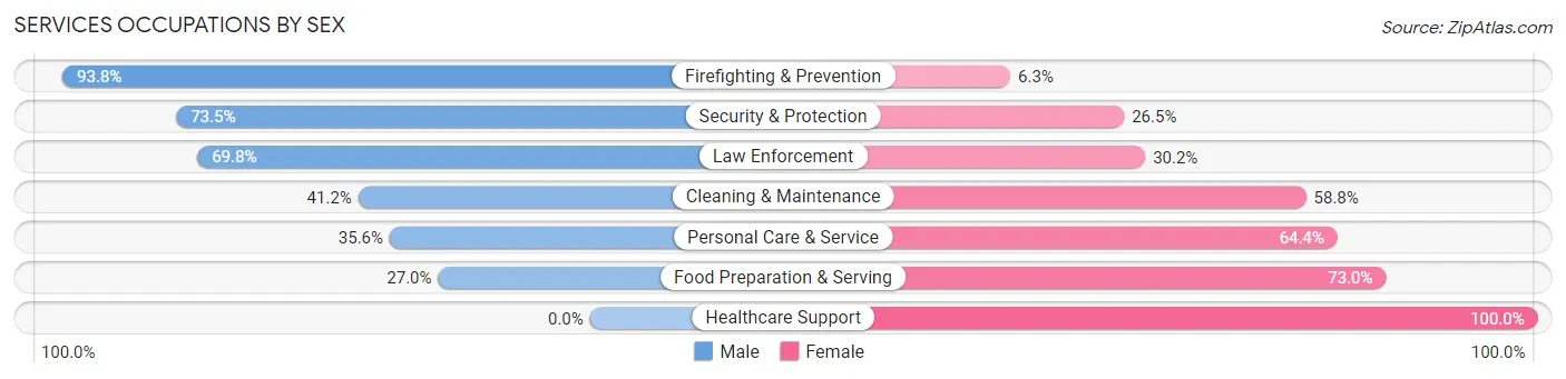 Services Occupations by Sex in Zip Code 76102