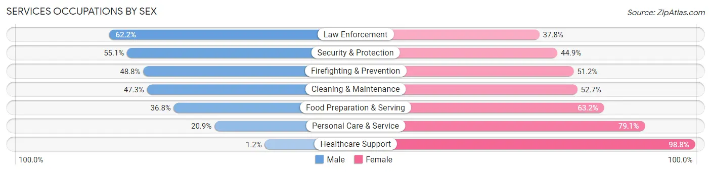 Services Occupations by Sex in Zip Code 76104